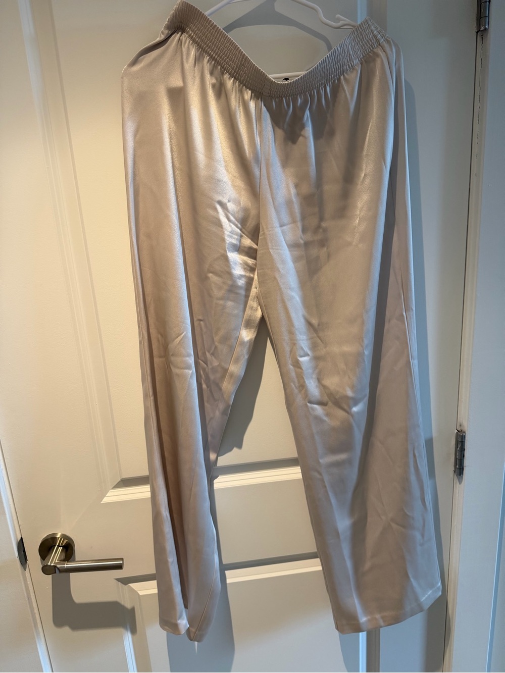 Babaton Silk Pants nwot